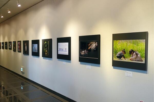 大島写真クラブ作品展 大島写真クラブ作品展