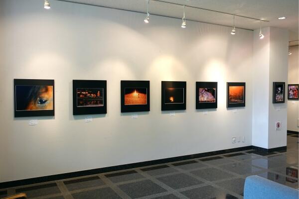 大島写真クラブ作品展 大島写真クラブ作品展