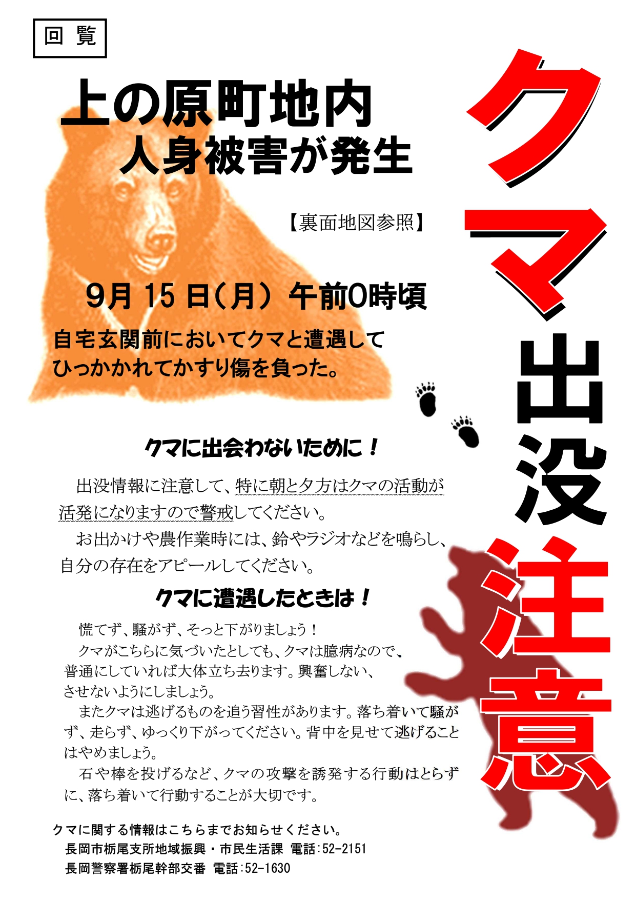 熊目撃情報