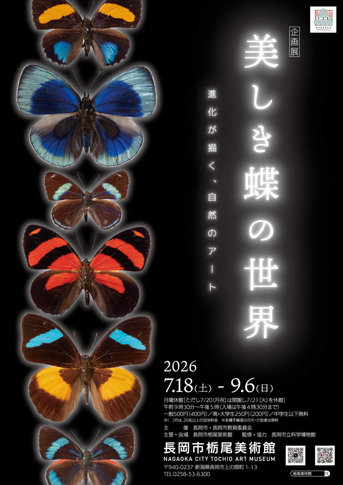 美しき蝶の世界チラシ表