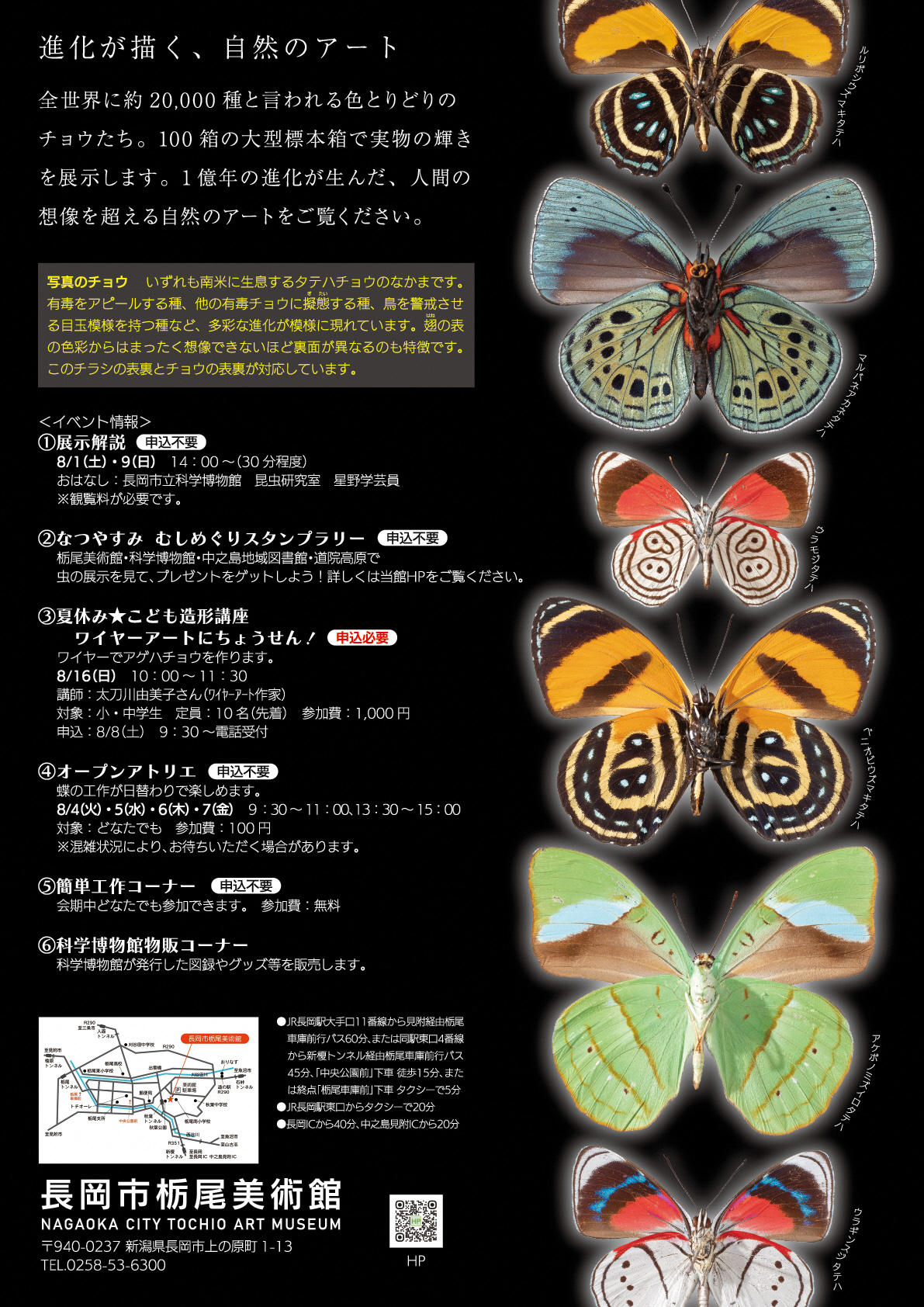 美しき蝶の世界チラシ裏