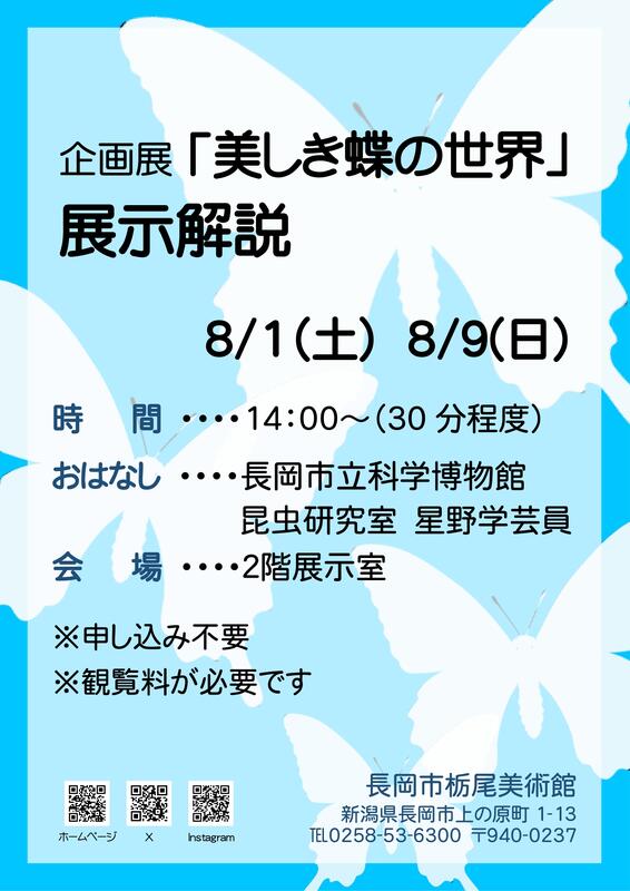美しき蝶の世界　展示解説